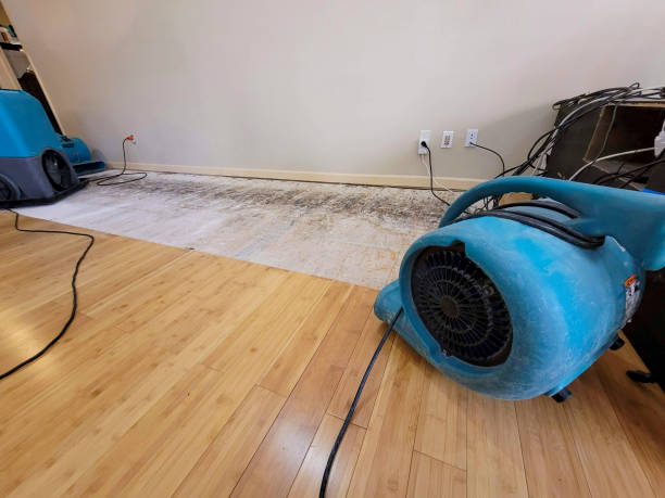 Professional Water Damage Repair technician working in New Jersey, NJ